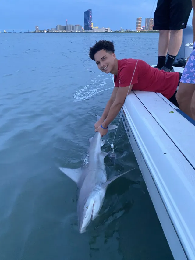 Angler releasing a shark with the Atlantic City skyline behind the boat