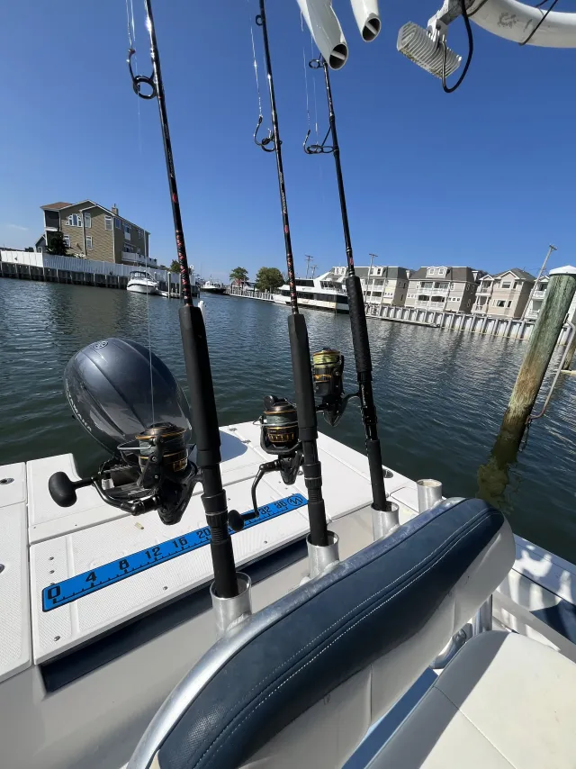Shark fishing rods set up on the SJS Charters boat