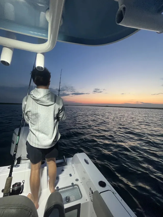 Sunset shark fishing from the back of a charter boat